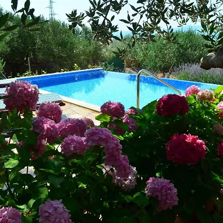 Villa Fani Kanun *