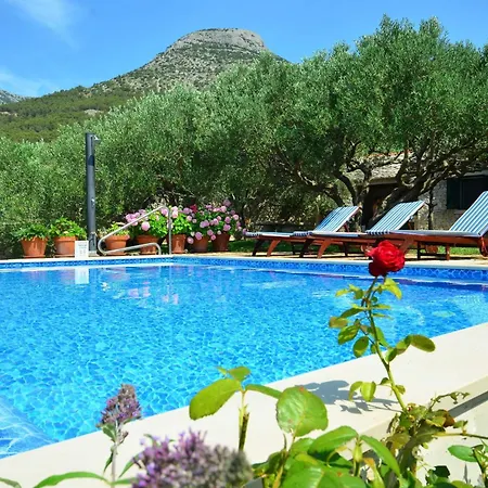Fani Kanun Villa Bol