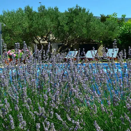 Villa Fani Kanun Bol