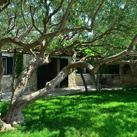 Villa Fani Kanun Bol